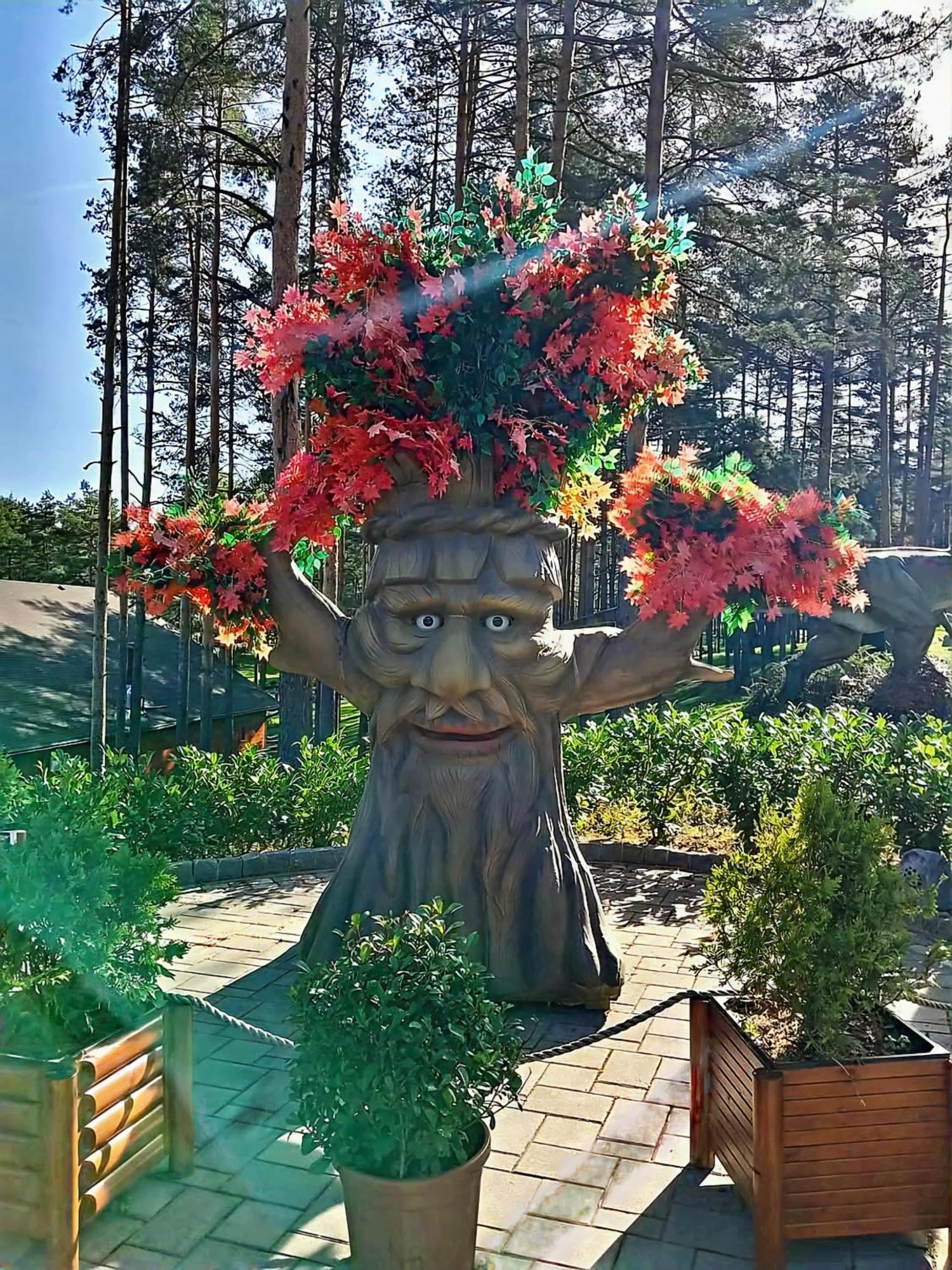 Silver Star Zlatibor Eksteriør bilde